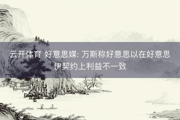 云开体育 好意思媒: 万斯称好意思以在好意思伊契约上利益不一致