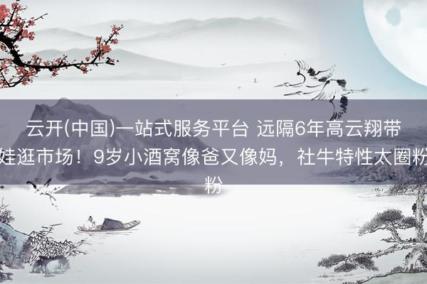 云开(中国)一站式服务平台 远隔6年高云翔带娃逛市场！9岁小酒窝像爸又像妈，社牛特性太圈粉