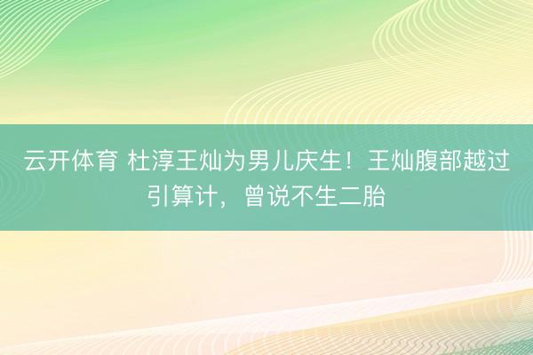 云开体育 杜淳王灿为男儿庆生！王灿腹部越过引算计，曾说不生二胎