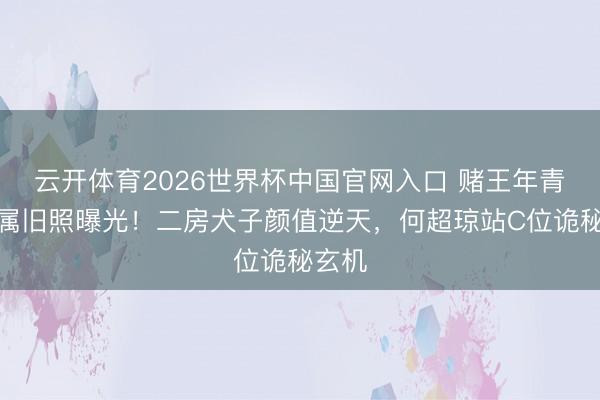 云开体育2026世界杯中国官网入口 赌王年青时眷属旧照曝光！二房犬子颜值逆天，何超琼站C位诡秘玄机