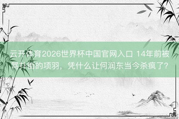 云开体育2026世界杯中国官网入口 14年前被骂扑街的项羽，凭什么让何润东当今杀疯了？