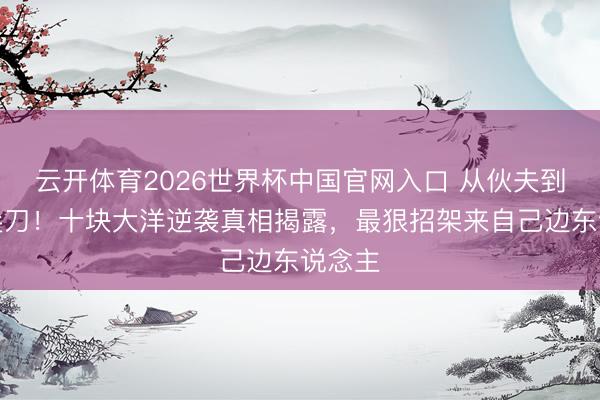 云开体育2026世界杯中国官网入口 从伙夫到谍报尖刀！十块大洋逆袭真相揭露，最狠招架来自己边东说念主