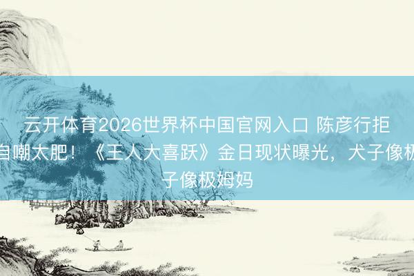 云开体育2026世界杯中国官网入口 陈彦行拒复出自嘲太肥！《王人大喜跃》金日现状曝光，犬子像极姆妈