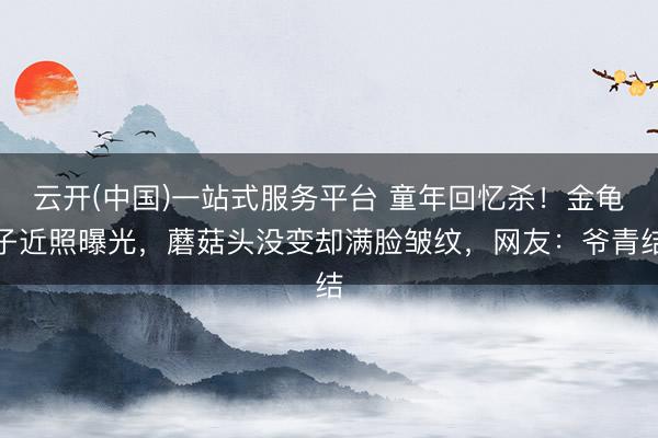 云开(中国)一站式服务平台 童年回忆杀！金龟子近照曝光，蘑菇头没变却满脸皱纹，网友：爷青结