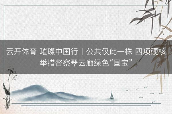 云开体育 璀璨中国行丨公共仅此一株 四项硬核举措督察翠云廊绿色“国宝”